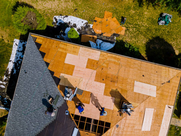 Best Residential Roof Replacement  in Choteau, MT